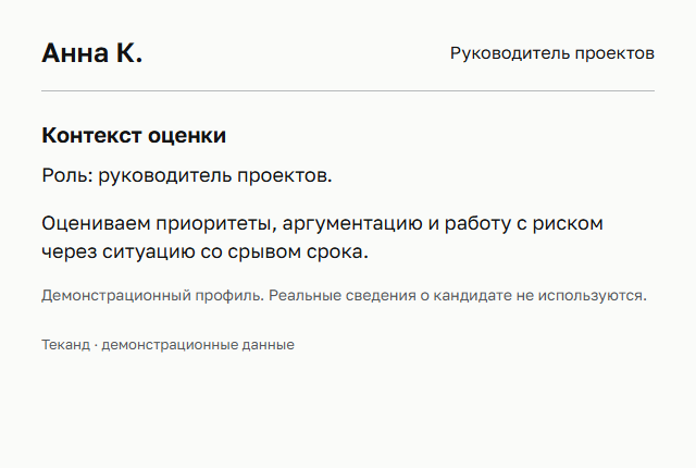 Демонстрационный отчёт: контекст оценки руководителя проектов
